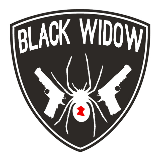 Brooklyn Nets Black Widow logo DIY iron on transfer (heat transfer)
